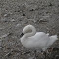 P8082341