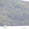 P8082374