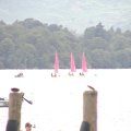 P8082378