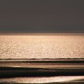 P5290736